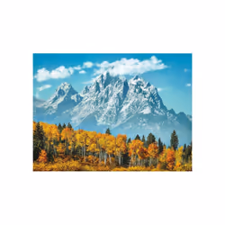 Grand Teton National Park