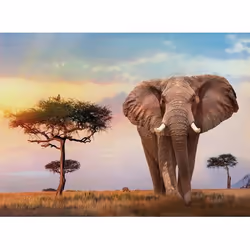 Clementoni African Sunset Jigsaw puzzle 500 pc(s) Animals