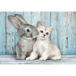 Clementoni High Quality Collection Cat & Bunny Jigsaw puzzle 500 pc(s) Animals