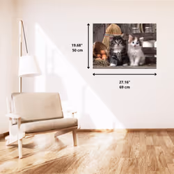 Clementoni ""Cute Kittens Puzzle (1000 Piece)