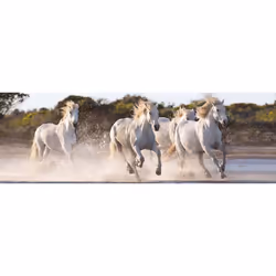 Clementoni Running Horses High Quality Panorama Jigsaw Puzzle (1000 Pieces)