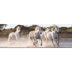 Clementoni Running Horses High Quality Panorama Jigsaw Puzzle (1000 Pieces)