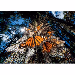 Clementoni Butterflies Jigsaw puzzle 1000 pc(s) Animals