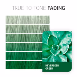 Wella 81644557 hair colour Green 60 ml