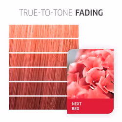 Wella 81644562 hair colour Red 60 ml