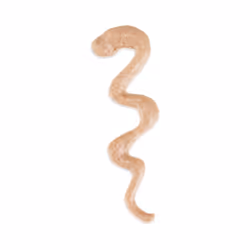 Schesir 25231304 Dog Treat Duck 15 g