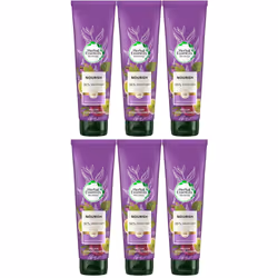 6x Herbal Essences Bio Renew NOURISH Passion Flower Conditioner, 275ml