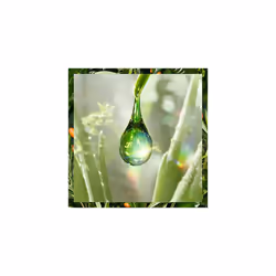 Argan Oil Of Morocco Regeneration Shampoo for Dry and Damaged Hair 6 x 400 ml