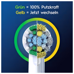 Oral-B Precision Clean 860892 6 pc(s) White - Additional view 4