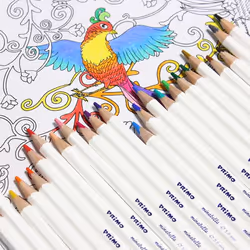 Primo 523MINAB24 colour pencil Multicolour 24 pc(s)