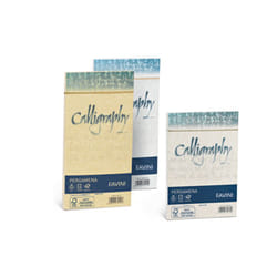 Favini Pergamena Calligraphy printing paper A4 (210x297 mm) 50 sheets Cream