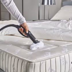Polti Vaporetto Classic 65 Steam Cleaner, 4 Bar, Made in Italy, 1500 W, Green