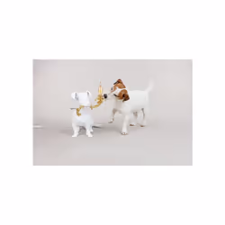 Seletti 14794 decoration lighting