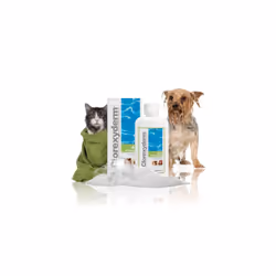 Clorexyderm 4% Shampoo for Dogs & Cats - Dry Itchy Skin Relief - Antibacterial & Anti-fungal - Moisturises Pet Skin & Coat - ...