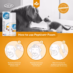 Peptivet Foam Eudermic Foam for Dogs and Cats â Soothing for Itchy Skin â Moisturising - Fast absorbing -