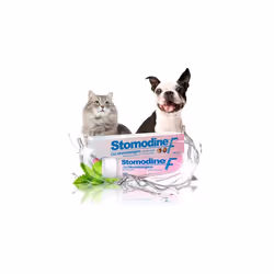 ICF Stomodine F - Cat & Dog Toothpaste Gel - Meat Flavour - Fights Plaque & Bad Breath - Healthy Dental Oral Hygiene - Easy t ...