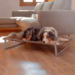 Ferplast Dream 100 Folding Bed for Dogs, Taupe, 105 x 63 x 18 cm