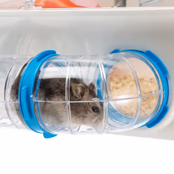 Ferplast Combi 1 Hamster Transparent, White - Additional view 7