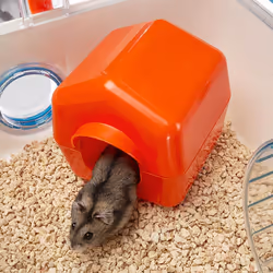 Ferplast Combi 1 Hamster Transparent, White - Additional view 8