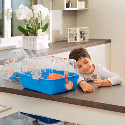 Ferplast Combi 2 Hamster Blue, Transparent