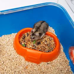 Ferplast Combi 2 Hamster Blue, Transparent - Additional view 6