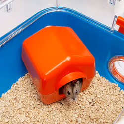 Ferplast Combi 2 Hamster Blue, Transparent - Additional view 7