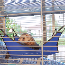 Ferplast Furet Power Ferret Beige - Additional view 7