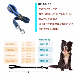 Ferplast Ergocomfort Dog Lead Padded 25mm X 55cm Blue