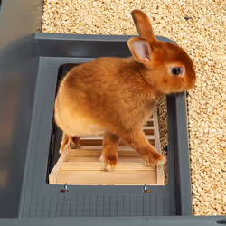 Ferplast Rabbit Cage Grey Run Play Pet Chicken Puppy Cozy Cage Safety Hutch - Additional view 5