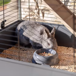 Ferplast Rabbit Cage Grey Run Play Pet Chicken Puppy Cozy Cage Safety Hutch - Additional view 9
