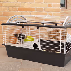 Ferplast Casita 80 Guinea pig Black, White
