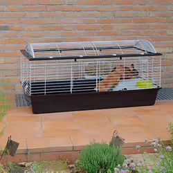 Ferplast Casita 120 Rabit Taupe, White