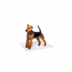 Genico Dog Mat, Large, 60 x 90 cm - Additional view 2