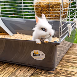 Ferplast Rabbit 100 Guinea pig, Rabit Grey, White