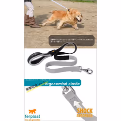 Ferplast Ergocomfort Elastic G25/120 Dog Lead, 25 mm/ 120 cm