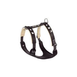 dog harness Giotto Luxor 31/39 x 44/52 cm leather black