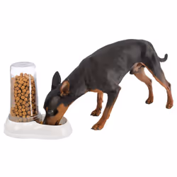 Ferplast Azimut 600 Cat and Dog Water and Food Dispenser, 12.5 x 19 x 19.5 cm, 0.6 Liter, White