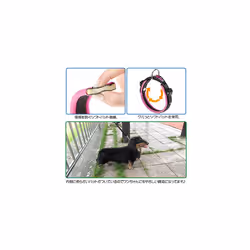 Ergofluo Dog Collar, 25-33 cm, Fuchsia