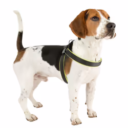 Ferplast Agila Fluo Black, Yellow Nylon Dog Vest harness