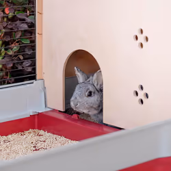 Ferplast Krolik 140 Plus Rabit Grey, Red - Additional view 5