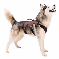 Ferplast ERGOTREKKING P LARGE Ergonomic harness for dogs A: 50<ul>60 cm - B: 70<ul>80 cm - C:  60<ul>70 cm - L 28,5 cm Brown Brown(Brown) LARGE