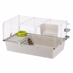 Ferplast Cavie, Cage, Guinea pig, Grey, White, Metal, Plastic, 1 door(s), 770 mm