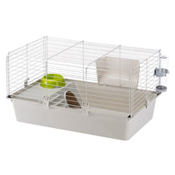 Ferplast Cavie Guinea pig Grey, White