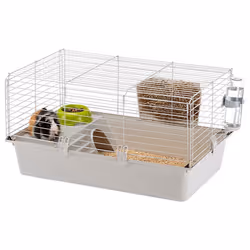 Ferplast Cavie Guinea pig Grey, White