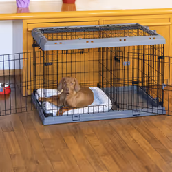 Ferplast Superior Crate pet carrier