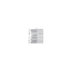 Beta 017200011 1720 BT 160mm Needle Files