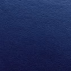 GBC Regency Binding Covers A4 Blue (100) - Additional view 2