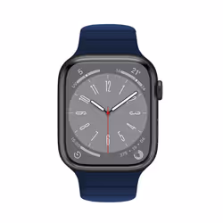 Celly WBANDMAG - Apple Watch Band 42/44/45mm