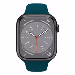 Celly WBANDSIL44GN watch part/accessory Watch strap