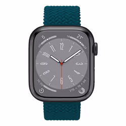 Celly WBANDBRAIDEDGN watch part/accessory Watch strap